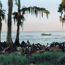 Boating by moss-draped trees in Fontainebleau State Park, Louisiana