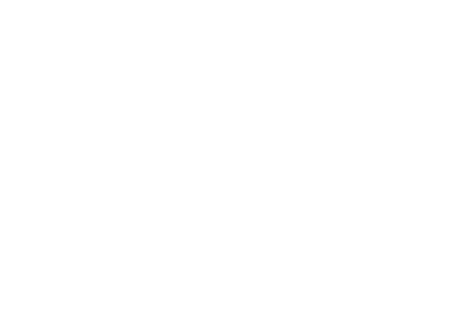Brand USA India Logo