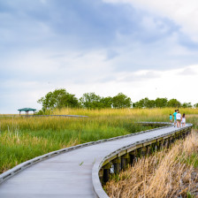 Exploring a scenic boardwalk on the Creole Nature Trail All American Road in Lake Charles, Louisiana